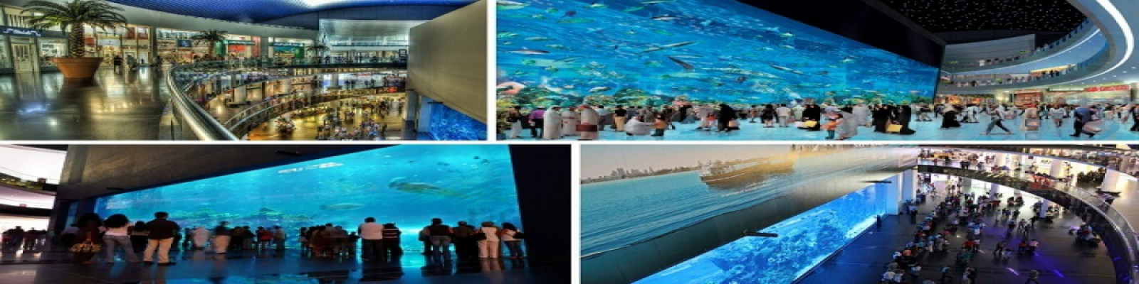 modern traditional dubai city tour, combo deals, dubai city tour with red desert safari, red desert safari combo deal